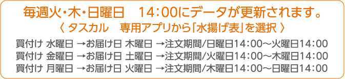 毎週火・木・日曜日　14：00にデータが更新されます。〈 タスカル　専用アプリから「水揚げ表」を選択 〉