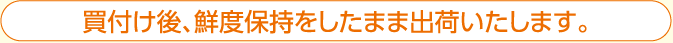 買付け後、鮮度保持をしたまま出荷いたします。