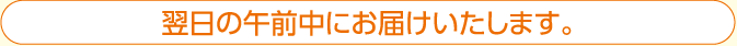 翌日の午前中にお届けいたします。